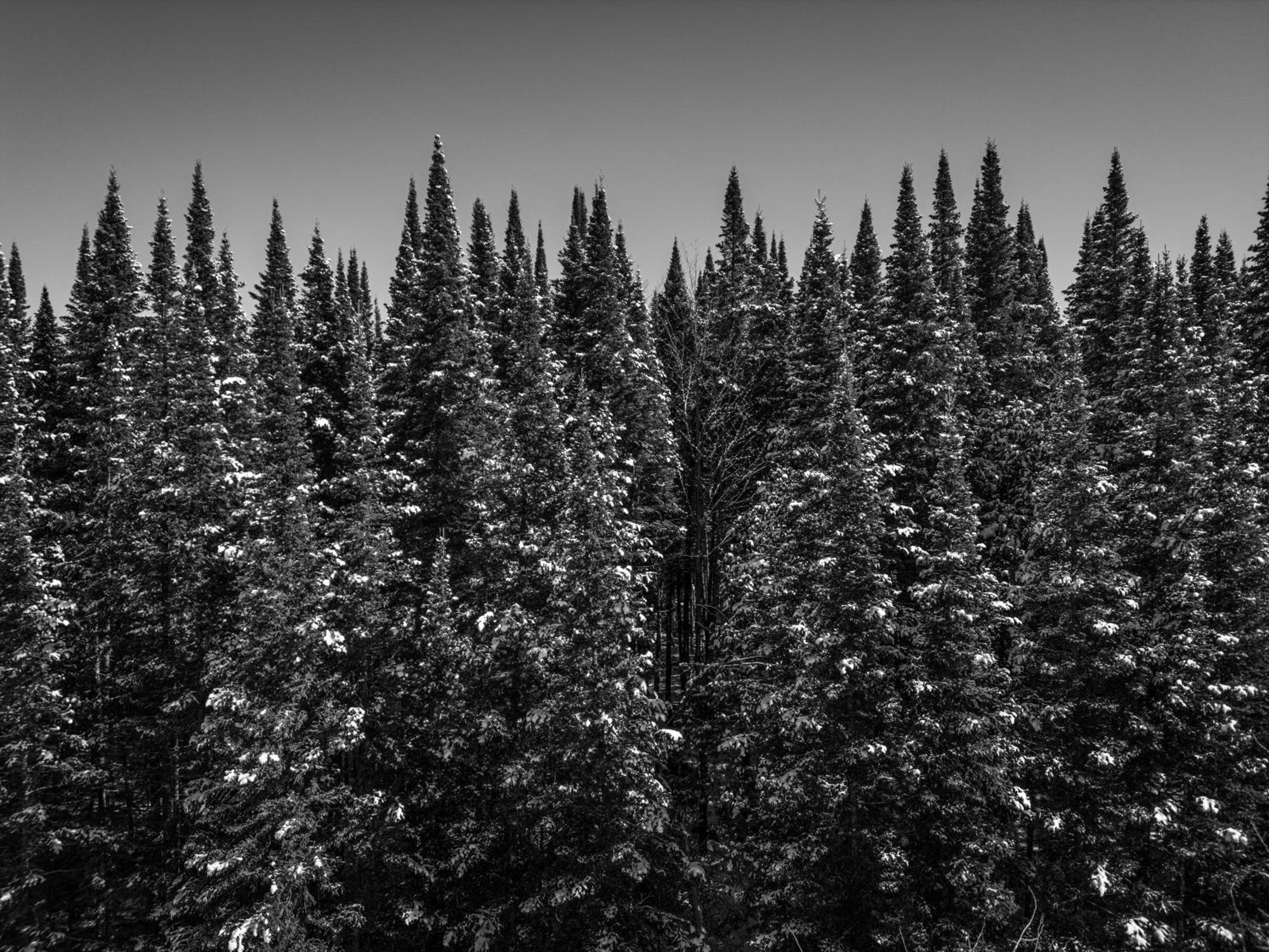 Otsego Resort Gaylord Kültér fotó
